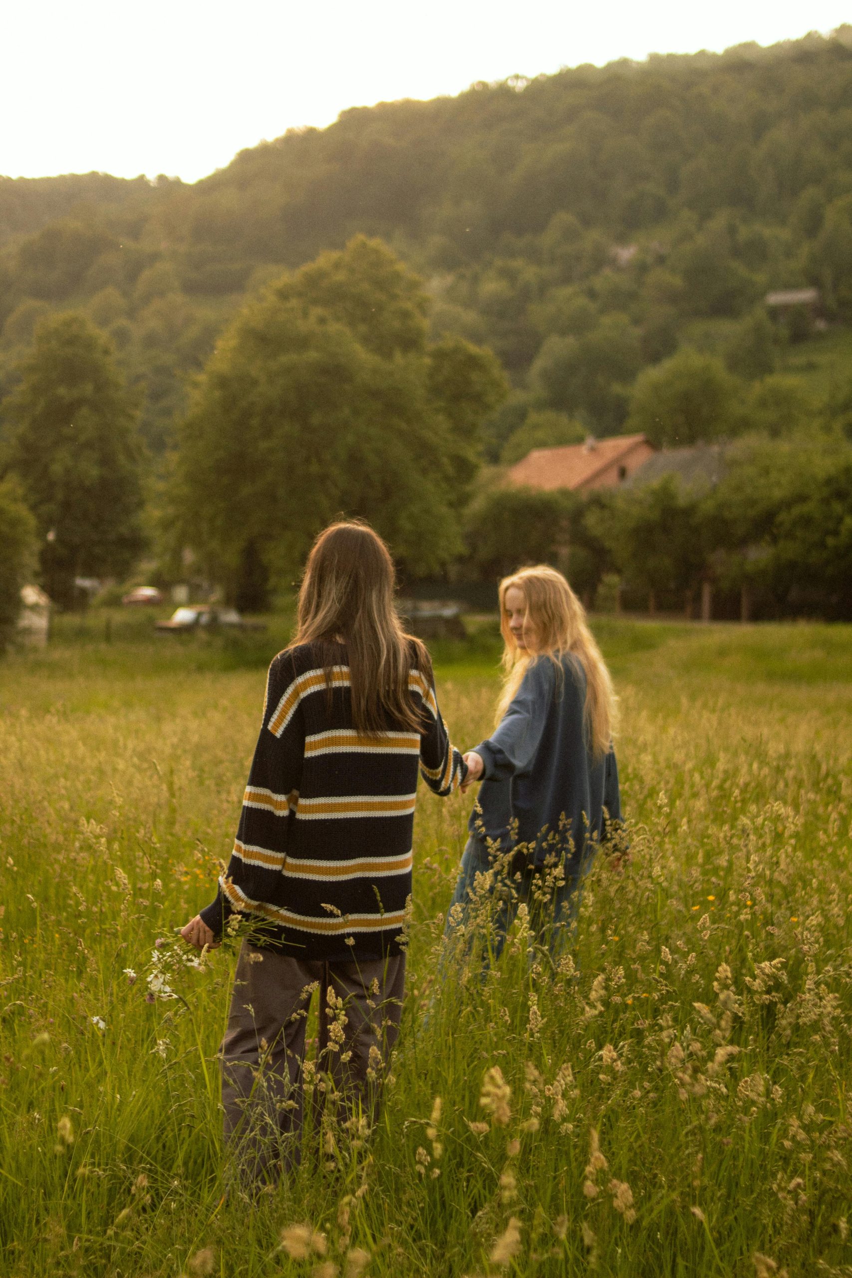 Deux amis marchent dans une prairie verdoyante baignée par la douce lumière de l'été.