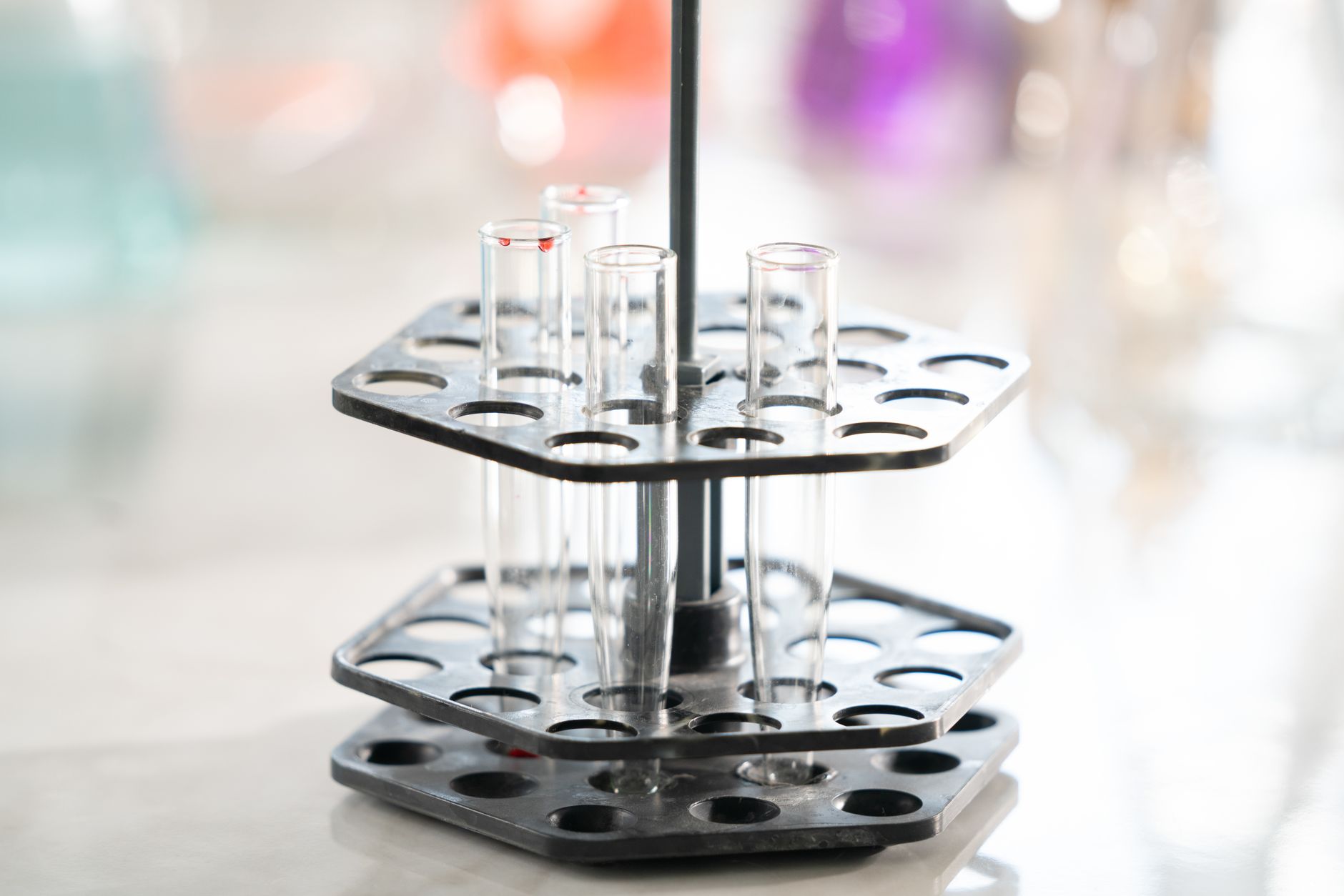 Tubes à essai vides dans un support de laboratoire